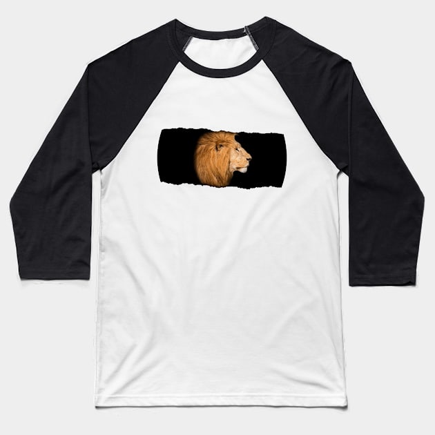 Lion Behind Broken Wall Baseball T-Shirt by MuskegonDesigns